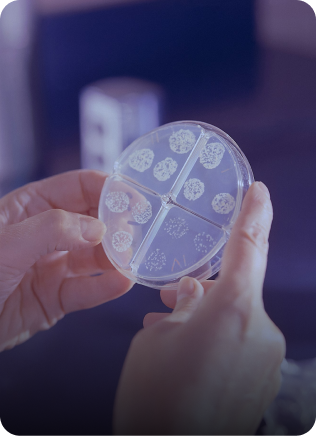 Chandigarh Diagnostic Laboratories